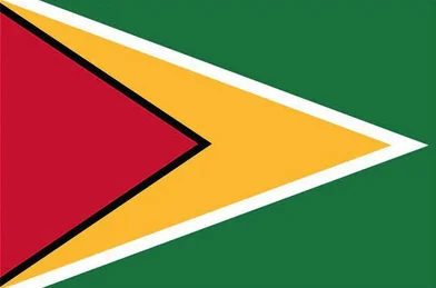 Flag of Guyana
